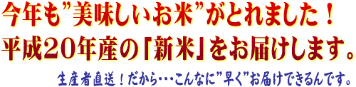今年も”美味しいお米”がとれました!平成20年産の「新米」をお届けします。
