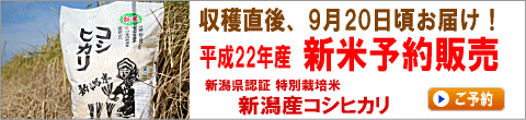 新米!平成22年産 新米 新潟産コシヒカリ予約販売