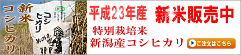 ���ơ�ʿ��23ǯ�� ���㻺�����ҥ��� ����