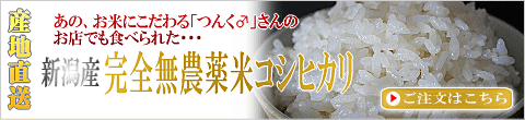 無農薬米コシヒカリの通販・販売はこちら