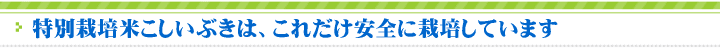 特別栽培米こしいぶきは、これだけ安全に栽培しています