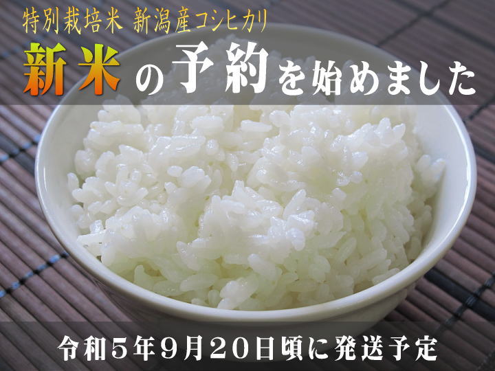 【新米 令和5年（2023） 予約販売】特別栽培米 新潟産コシヒカリ 白米 ５kg