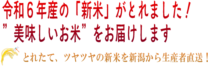 令和6年産の新米 特別栽培米コシヒカリ 無洗米の販売!!