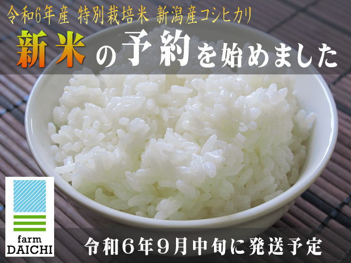 新米！令和6年産 新潟産コシヒカリ 販売予約